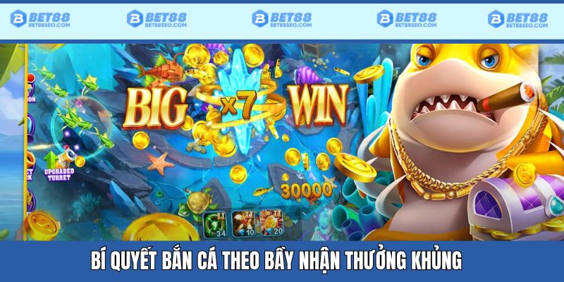 Nên săn các sinh vật bơi theo đàn