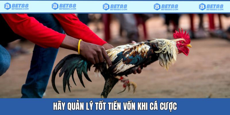 Hãy quản lý tốt nguồn vốn