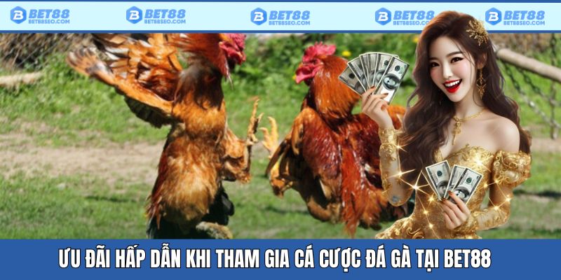 Ưu đãi khi đặt cược