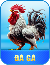 icon đá gà bet88